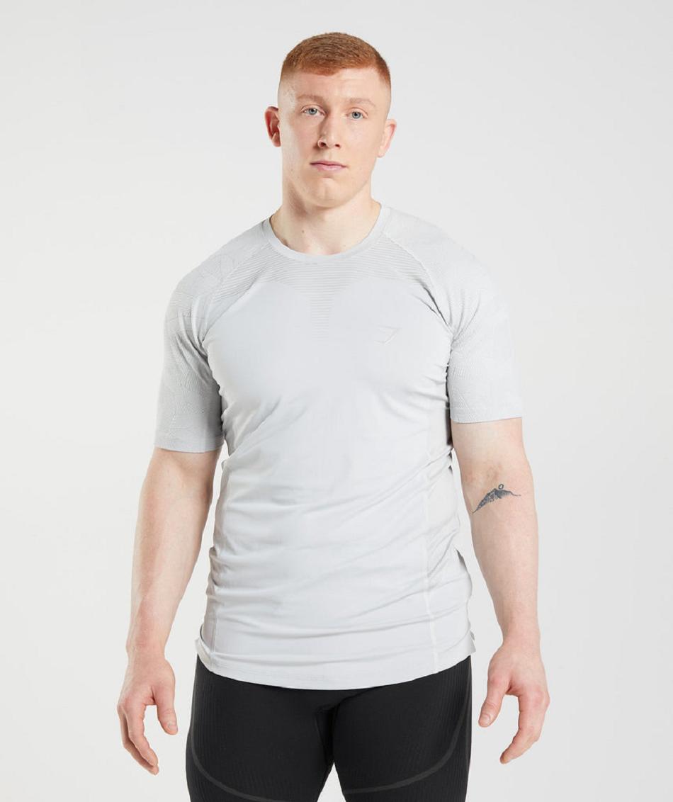 T Shirts Męskie Gymshark 315 Głęboka Szare | PL 3909VRW